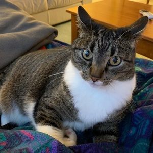 Meet your Posher, Emily